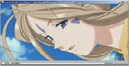 FLV Player v2.8.4